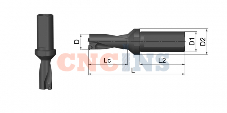 SP16-04D-C25_3