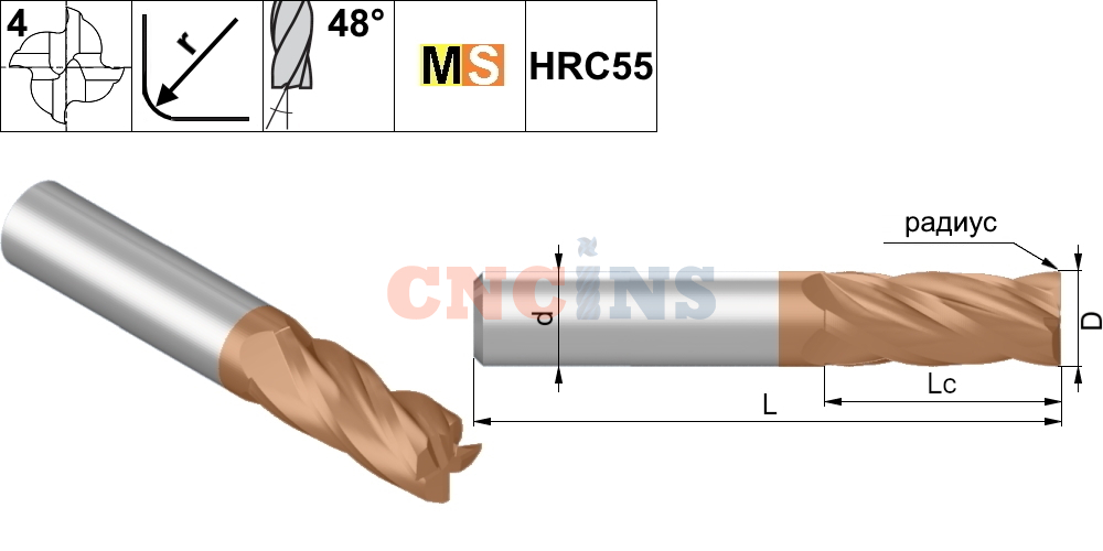  MS13 