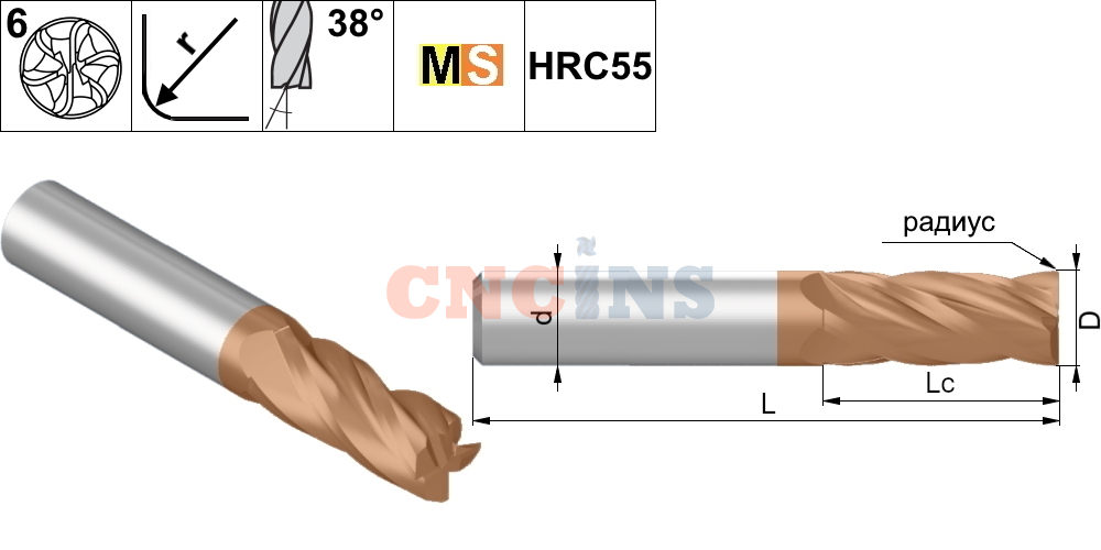  MS16 